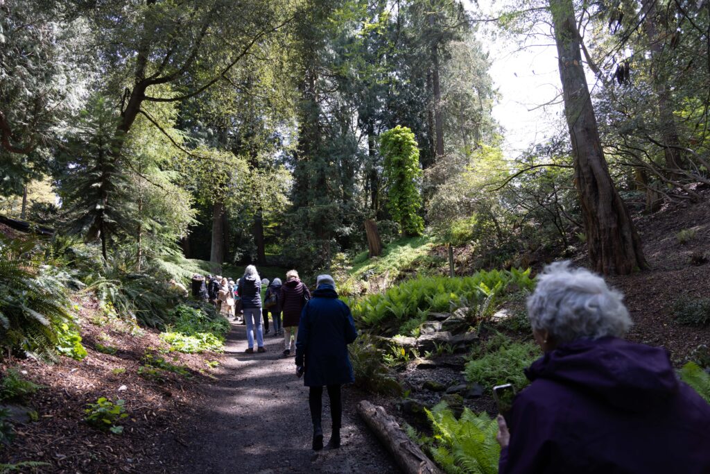 Arboretum Rhody Glen Restoration