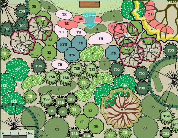 King County's Native Plant Guide