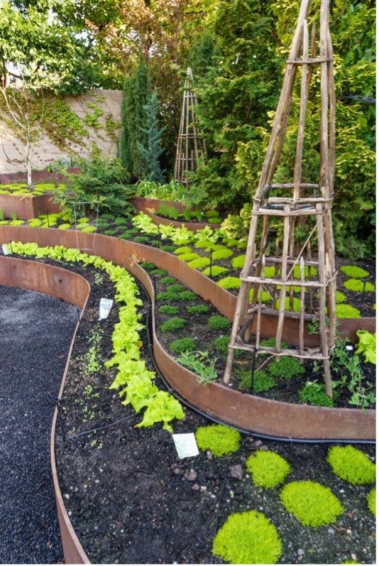 4_VickiReedsVegGarden