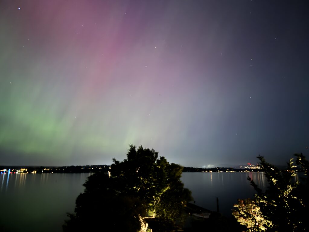 Floral Design Balance (test)