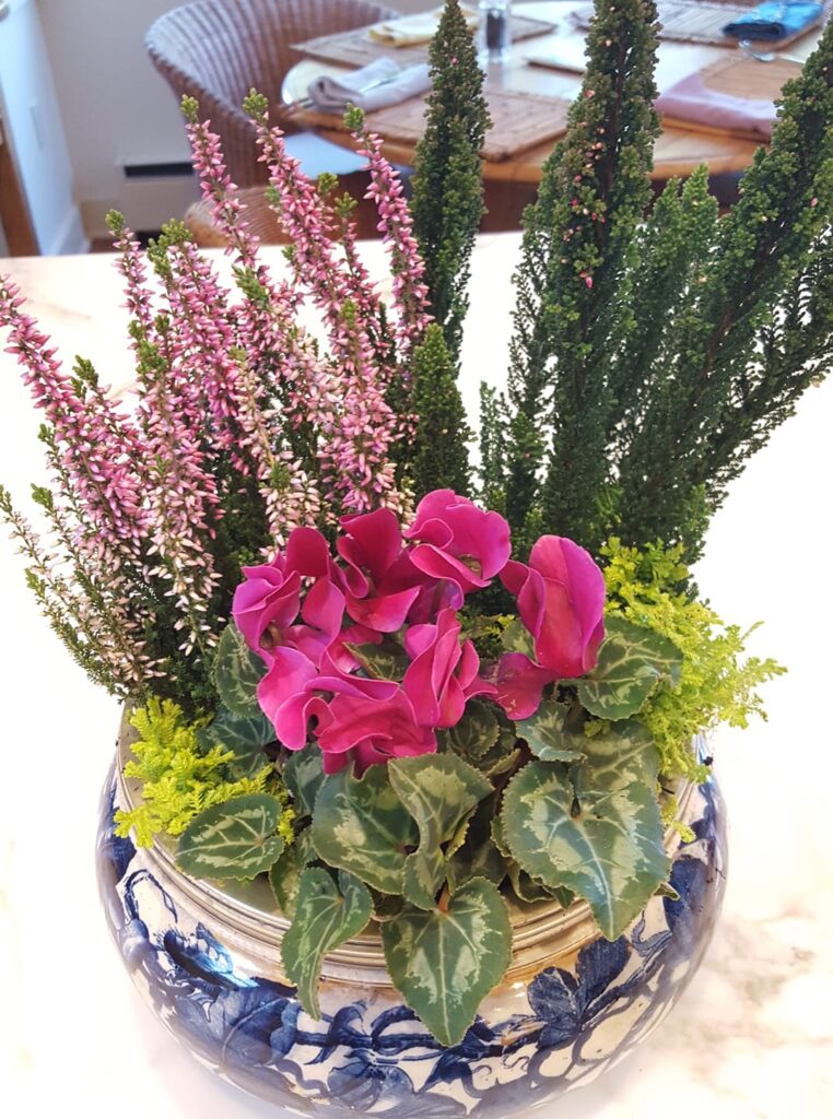 Past Creations - by Catherine Mueller